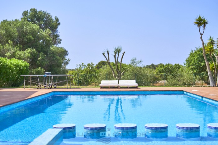 Casa de campo Fandango - 12 personas - Cala Dor - Mallorca