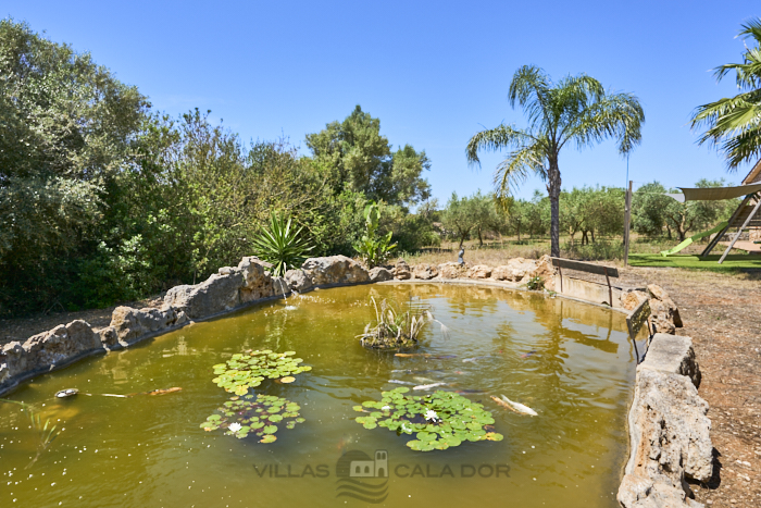 Country house Ailen 3 bedrooms, Felanitx, Mallorca Country house Ailen 3 bedrooms, Felanitx, Mallorca
