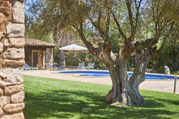 Country house Ailen 3 bedrooms, Felanitx, Mallorca Country house Ailen 3 bedrooms, Felanitx, Mallorca
