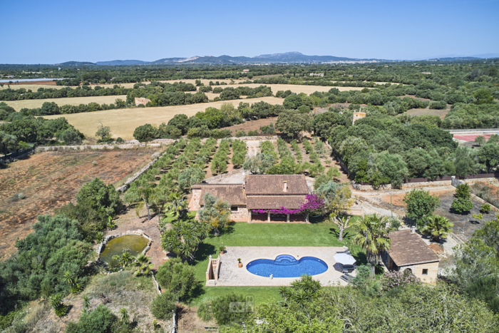 Country house Ailen 3 bedrooms, Felanitx, Mallorca Country house Ailen 3 bedrooms, Felanitx, Mallorca