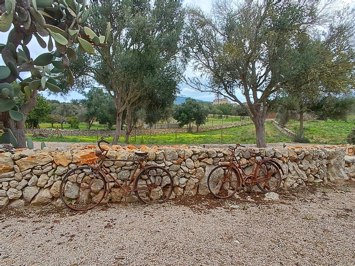 Country house Galeri - 2 bedrooms - Felanitx - Mallorca