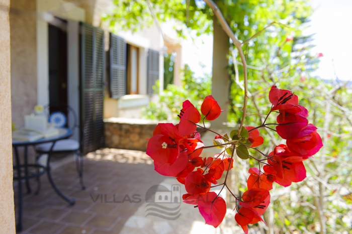 country house Miquel Tomas - 9 people - Cas Concos  - Mallorca